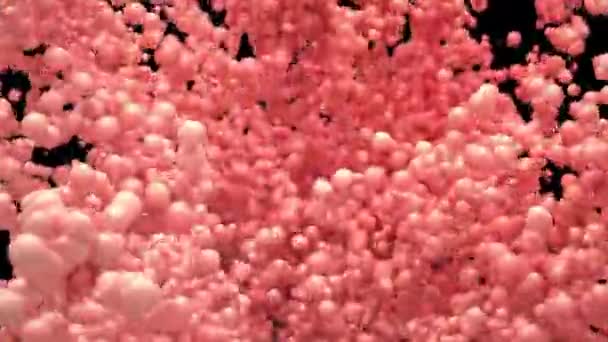 Bubble Burst - bolas de espuma rosa balões esferas de explosão canal alfa — Vídeo de Stock