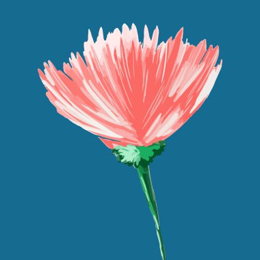 Mavi arka planda izole edilmiş pembe çiçek