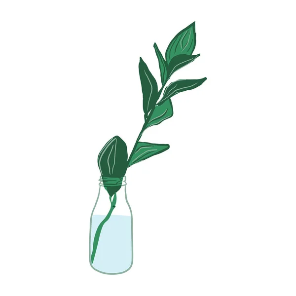Cam şişedeki izole bitki yaprağı.