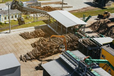 bir yükleyici ağaç işleme fabrikası fotoğraflarına kütük yükler