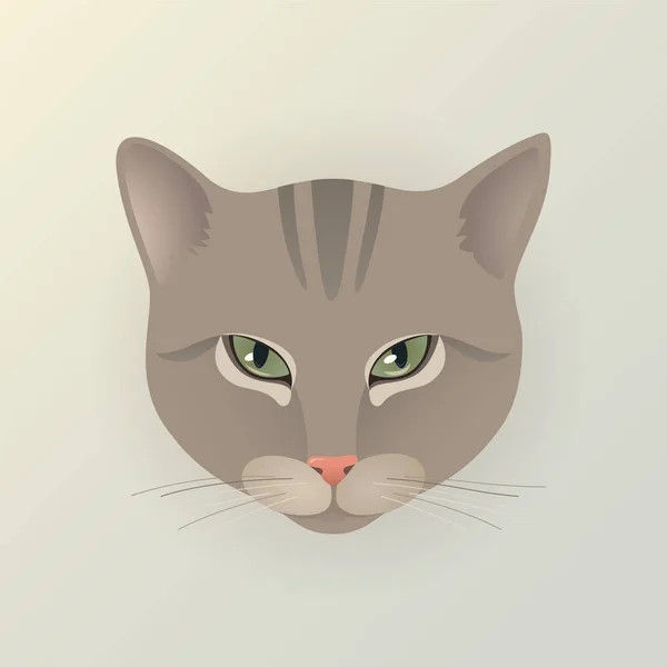 Портрет кошки — стоковый вектор