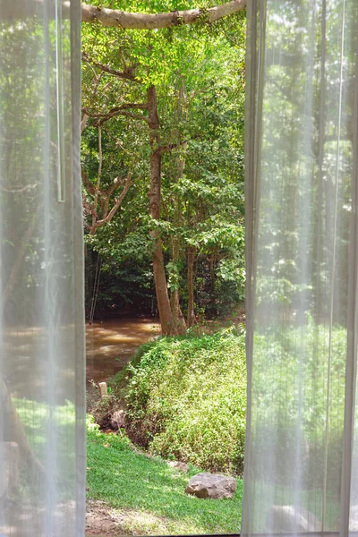 Вид Вікна Дерева Річку Зеленому Лісі Білими Шторами — стокове фото