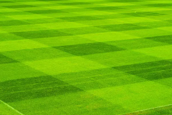 Modello quadrato sul campo di calcio erba verde — Foto Stock