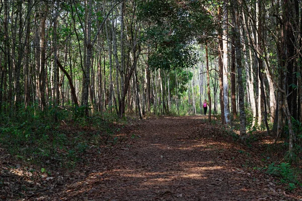 Ormanda yolda yürüyen pembe sırt çantası ile Asyalı kadın
