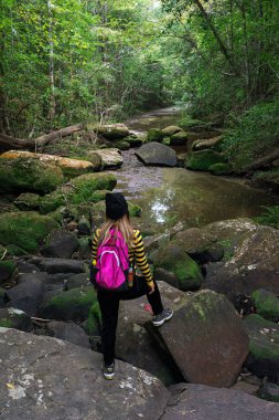 Asyalı kadın ormanda nehre bakarak ayakta