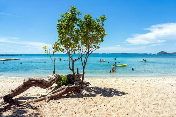 砂浜の木と青い海で遊ぶ観光客 — ストック写真