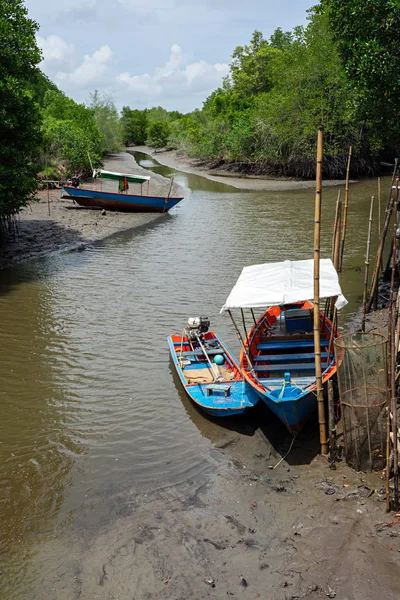 Trä långa svans båtar på flodbädden med Mangrove Forest bakgrund — Stockfoto