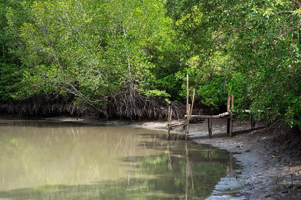 Pequeño muelle de madera en el río en el bosque de manglar verde —  Fotos de Stock