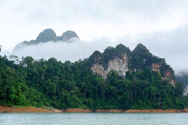 Sabah sisdağ ve orman