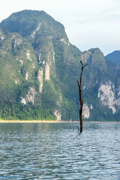 Dead Tree Top w jeziorze z górskim tłem — Zdjęcie stockowe