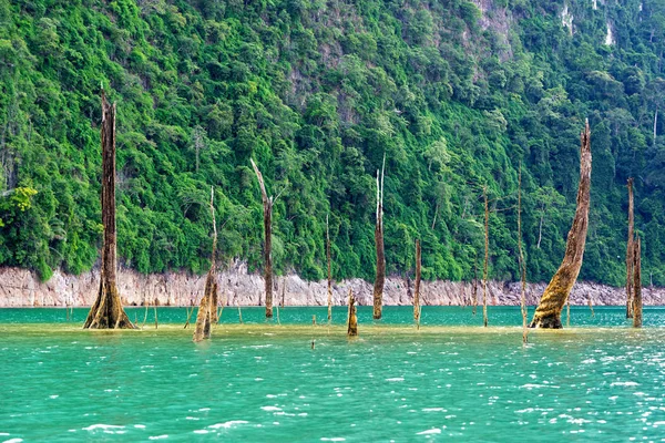Arbres morts dans le lac avec fond de falaise verte — Photo