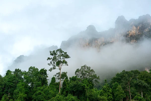 Foresta verde e alta falesia nella nebbia mattutina Foto Stock