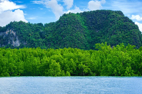 Floresta Mangue Verde Com Montanha Calcária Céu Azul Nuvens Brancas — Fotografia de Stock