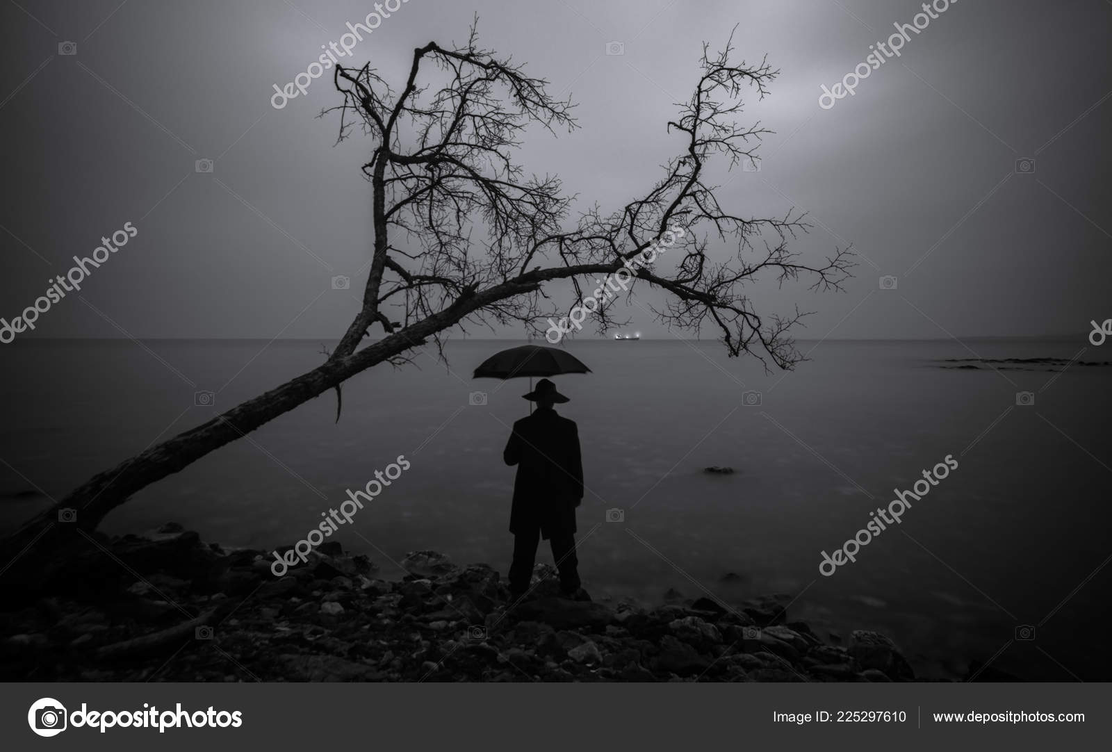 Paisagens Preto Branco Stock Photo C Xotaka 225297610