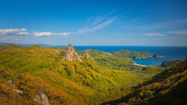 Tayga dağlarında altın sonbahar