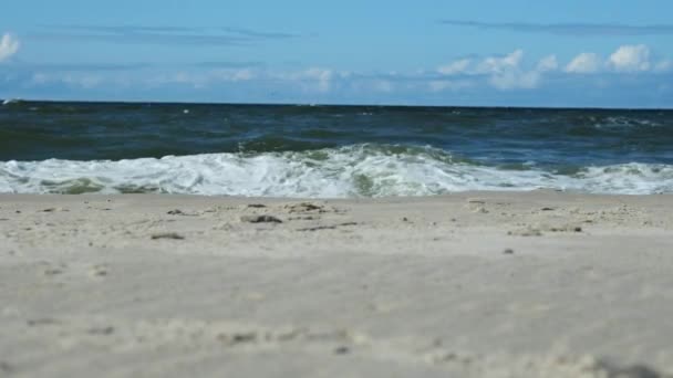 Sandy beach, waves of the blue sea, blue sky — Stock Video