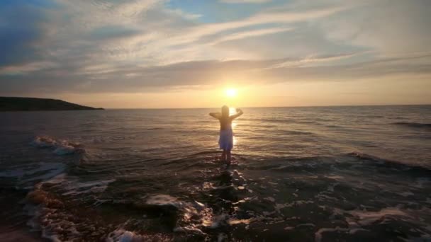 Kvinnliga fötter hiker turist gå barfota på stranden vid solnedgången. Ben av ung kvinna går längs ocean beach under sunrise. Flicka kliva på våt sand strandlinje. Slow motion — Stockvideo