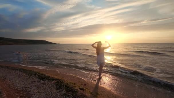 Pés femininos de turista caminhante andando descalço na costa ao pôr do sol. Pernas de mulher jovem indo ao longo da praia do oceano durante o nascer do sol. Menina pisando na areia molhada da costa. Movimento lento — Vídeo de Stock