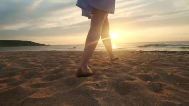 Pies femeninos de excursionista caminando descalzo en la orilla al atardecer. Piernas de mujer joven que va a lo largo de la playa del océano durante el amanecer. Chica pisando arena mojada de la costa — Vídeo de stock