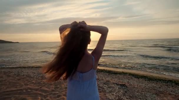 Piedi femminili di escursionista turistico a piedi nudi sulla riva al tramonto. Gambe di giovane donna che percorrono la spiaggia dell'oceano durante l'alba. Ragazza che calpesta la sabbia bagnata della costa — Video Stock