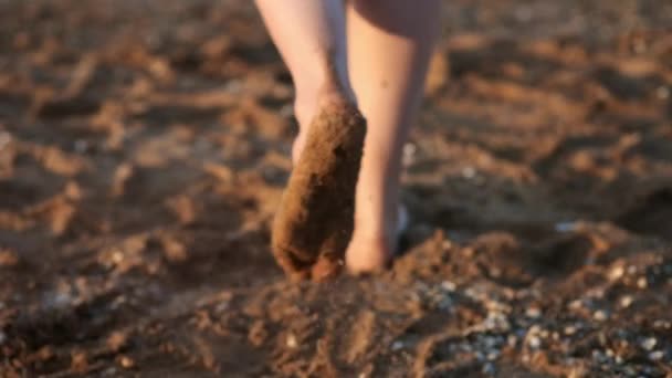 SLOW MOTION, CLOSE UP: Female or girl feet step on yellow sand from seashells, go into the sea. The girl plunges into the water, walks on foot. Evening at sunset — Stock Video