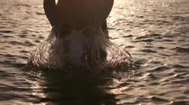 seksi kız su sıçramalarına yapıyor. Denizde dinlenme ve tatil ve özgürlük ile memnun eder. Arkadaş grubu keşfetmek.