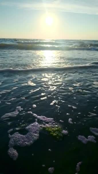 Sea waves splashing on background stone. Waves water splashing about stone protruding from sea. Close up sea waves of water on background stone — Stock Video