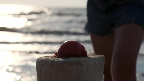 Zwolnionym tempie: młoda seksowna dziewczyna wali kijem z warzyw i owoców pomidora. Znajduje się na plaży piaszczystej plaży. — Wideo stockowe