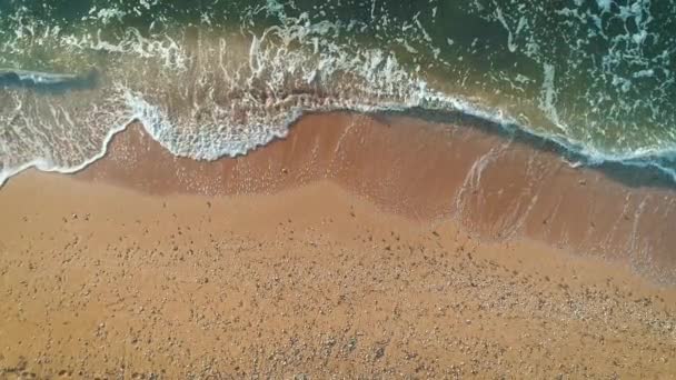 Aerial view of Sea beach. top view. — Stock Video