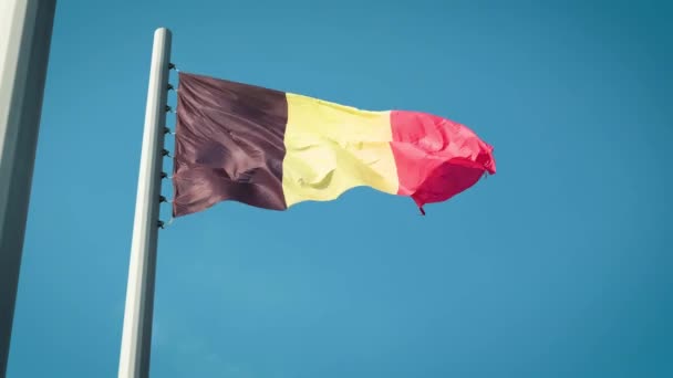 Bandera de Bélgica Bandera de Bélgica — Vídeo de stock