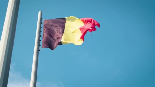 Drapeau de Belgique Drapeau de Belgique — Video