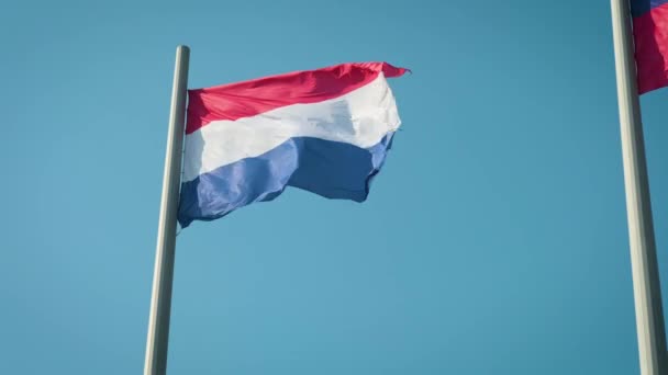 Флаг Нидерландов, размахивающий голубым небом . — стоковое видео