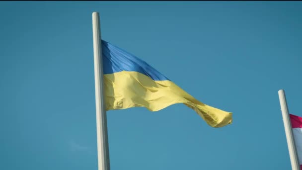 Pavillon de l'Ukraine. Drapeau ukrainien contre le ciel bleu . — Video