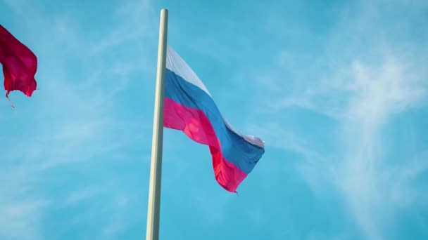 Vrai drapeau de la Fédération de Russie . — Video