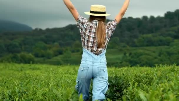 Uma jovem menina bonita país em um terno jeans e um chapéu de palha corre ao longo de uma plantação de chá ou café. Vivenciando a felicidade de viajar, a unidade com a natureza . — Vídeo de Stock