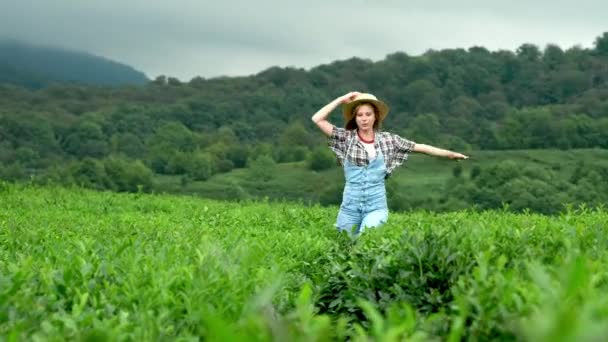 Молода красива сільська дівчина в джинсовому костюмі і солом'яний капелюх проходить уздовж чайної або кавової плантації. Відчувати щастя від подорожей, єдності з природою . — стокове відео