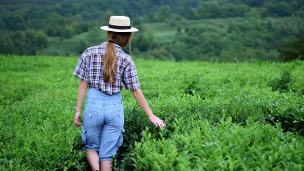 Una joven hermosa chica de campo en un traje vaquero y un sombrero de paja corre a lo largo de una plantación de té o café. Experimentar la felicidad de viajar, unidad con la naturaleza — Vídeos de Stock