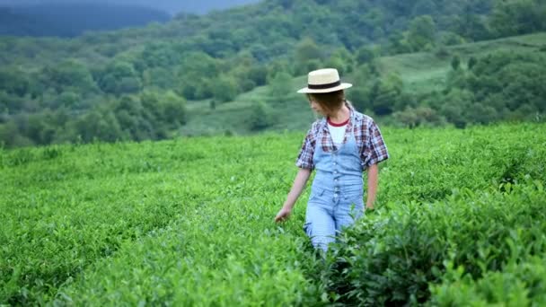 Uma jovem menina bonita país em um terno jeans e um chapéu de palha corre ao longo de uma plantação de chá ou café. Vivenciando a felicidade de viajar, a unidade com a natureza — Vídeo de Stock