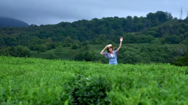 Uma jovem menina bonita país em um terno jeans e um chapéu de palha corre ao longo de uma plantação de chá ou café. Vivenciando a felicidade de viajar, a unidade com a natureza — Vídeo de Stock