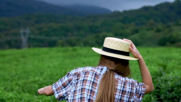 En ung, vakker jente i jeans dress og stråhatt løper langs en te eller kaffeplantasje. Oppleve lykken av å reise, ensomhet med naturen – stockvideo