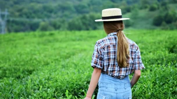 Une fille marche ou jouer dans la ferme de thé, foyer sélectif, remonter le moral, frais . — Video