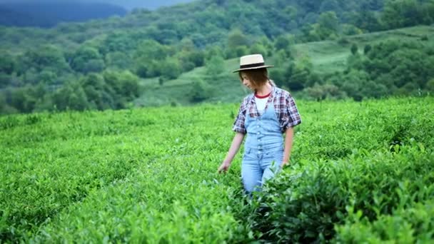 Девушка ходить или играть на чайной ферме, избирательный фокус, взбодриться, свежий . — стоковое видео