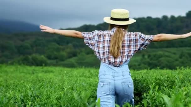 Дівчина гуляє або грає на чайній фермі, вибірковий фокус, підбадьорює, свіжий . — стокове відео