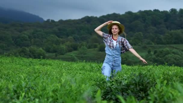 Una ragazza a piedi o giocare in tea farm, concentrazione selettiva, rallegrare, fresco . — Video Stock