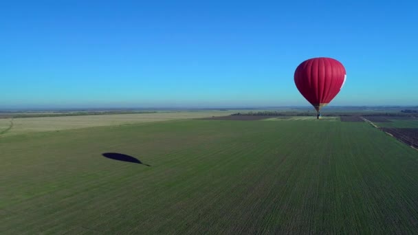 Kleurrijke Rood Blauw Geel Kleuren Warme Lucht Baloons LuchtDrone Vlucht Over Mooie Herfst Forrest bij Zonnebergen Mooie Landschap Achtergrond Zonnige Vakantie Reisbestemming Concept — Stockvideo