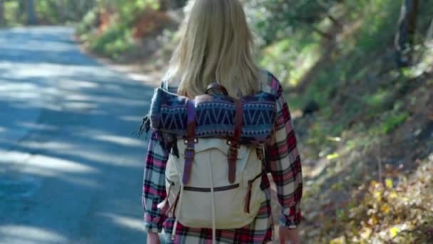 Странница, путешествующая автостопом по лесной дороге и идущая пешком. Молодая счастливая женщина с рюкзаком ищет дорогу, чтобы начать путешествие по освещенной солнцем проселочной дороге — стоковое видео