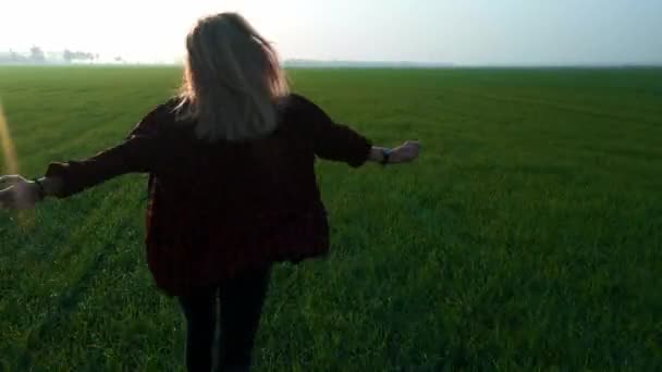 Ung vacker blond tonåring flicka körs på en färsk grön vetefält i solnedgången. Korsade fältet i en rutig röd skjorta. Åtnjuter frihet — Stockvideo