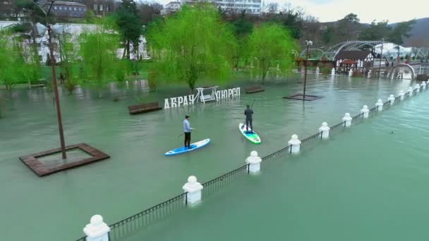 ANAPA RUSSIA - 19.01.2019: Dois pilotos flutuam nas pranchas de surf. Nade entre as árvores no antigo parque inundado. Aprendendo a surfar. SUP — Vídeo de Stock