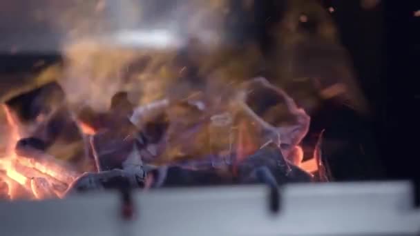 肉用的 bbq。煤在火灾中燃烧。烹饪肉类的准备 — 图库视频影像
