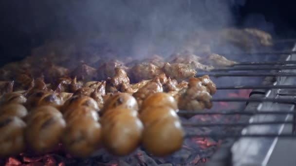 Cuire les rôtis de kebab barbecue juteux sur le grill au ralenti. barbecue sur le gril. Des morceaux de bœuf et de porc sur des brochettes. Légumes sur brochettes . — Video